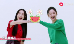 吃瓜爆料姐妹视频大全集,揭秘娱乐圈幕后真相视频大全集